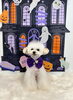ちきくん「Happy Halloween 2026🎃」