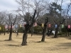 さいたま市　岩槻城址公園