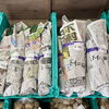 「ねぎ苗入荷しました！農産物直売所」