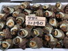 「岩牡蠣入荷致しました」