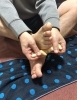 「足つぼセルケア！体の声を聞く習慣がつく 」