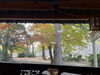 「平日なら紅葉が見える特等席も空いているかも🍂✨」