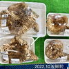 2022.10.8 入荷松茸/即日完売「 “秋の味覚” を探して ようこそ 道の駅木曽福島へ」