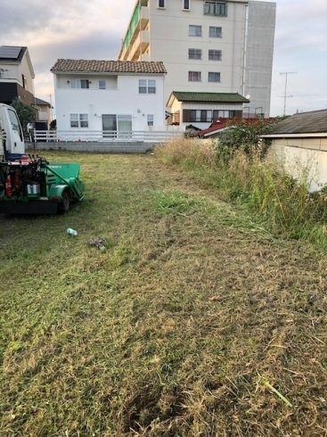 除草作業「美味いビールと除草作業!!水戸市で除草業者といえば!!」