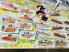 「西海物産館・魚魚市場鮮魚コーナーおすすめは「イサキ・エゾバフンウニ」です♪」