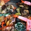 「魚魚市場鮮魚コーナーおすすめは「岩ガキ・ハマグリ」です♪」