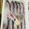 「魚魚市場鮮魚コーナーおすすめは「クエ」「クロムツ・カマス」です♪」