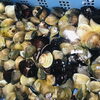 「魚魚市場鮮魚コーナーおすすめは「伊勢エビ」です♪」