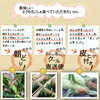 「一足先に♪ゴールドラッシュ掲載のご報告🌽」