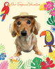 「Dog salon mofu mofu　余市町」