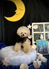 みにょんちゃん「お月さまとわんこ🌛」