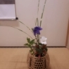 「6月のお稽古🍵」