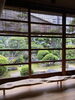 「二十四節気　芒種(ぼうしゅ）」