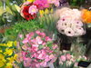 春らしいお花入荷中「卒業シーズンにどうぞ！」