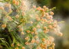 「今年のいち押し花粉症対策はコレ！！」