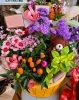 寄せ鉢「〜＊お彼岸の入り(9/19)・敬老の日(9/21)について＊〜」