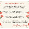 「今週末は観葉植物SALE！& 母の日についてのお知らせです。」