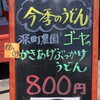 ゴーヤのかきあげぶっかけうどん