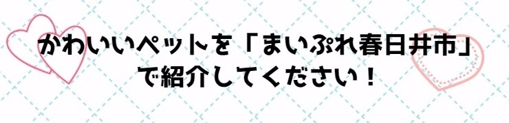 かわいいペットを「まいぷれ春日井市」で紹介してください！