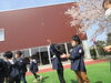 桜の花びらのシャワー「令和４年度がはじまりました～♬」