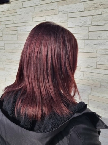オススメカラー 伊達市 美容室 ヘアカラーが得意な美容室 定番カラー デザインカラー Fikahairのニュース まいぷれ 福島市 オススメカラー 伊達市 美容室 ヘアカラーが得意な美容室 定番カラー デザインカラー Fikahairのニュース まいぷれ 福島市