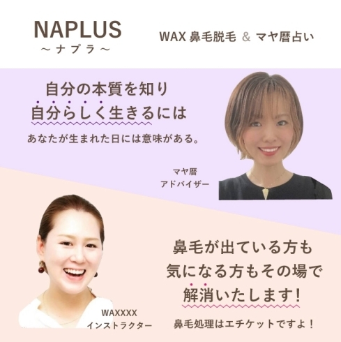 NAPLUS~ナプラ~「秋の感謝祭 出店者紹介! vol.4」