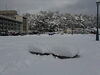 「【舞鶴赤れんがパーク1/22の状況☃️】」