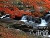 出雲エリア一例「【特集】山陰の紅葉特集を公開しました！」