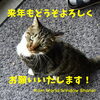 「本年も大変お世話になりました。」