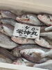 「本日も営業致します」