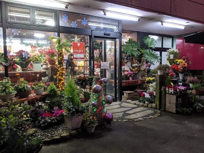 「徳常町のフラワーおおにしさんの店内は、かわいいクリスマス仕様へ！」