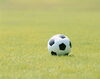 「子どものサッカー大会に行ってきました。」