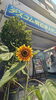 求職者様を最初にお迎えしています🌻「明石市大明石町【テスコム明石求人センター】8月のお知らせ」