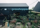 grasshopper cafe