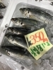 「魚魚市場鮮魚コーナーおすすめは「エビスダイ」です♪」