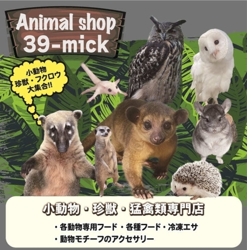 アニマルスペース39 Mick ペット まいぷれ 札幌市北区 東区