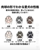 「肉球のタイルを作ってみませんか？」