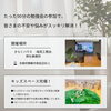「【賢い家づくり勉強会】2025年6月イベント 家づくりを検討中のご家族様必見！！」