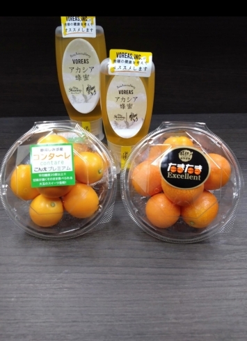 コンタ〜レはスイーツ金柑🍊蜂蜜漬けで風邪予防🍊「【2024年】柑橘🍊フルーツミニトマト🍅美味しい果物が勢揃いですよ✨やおもり果実専門店🍈」