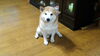 「健康まちづくり宣言(^_^)ゞ」