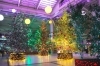 新潟市のイルミネーション クリスマスツリー情報19 新潟市のおでかけ情報まとめ まいぷれ 新潟市 新潟市のイルミネーション クリスマスツリー情報19 新潟市のおでかけ情報まとめ まいぷれ 新潟市