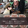 「自然の中でディキャンプ イベントレポート♪」