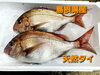 「‼️年内最後‼️お惣菜やってます美味しいお刺身も」