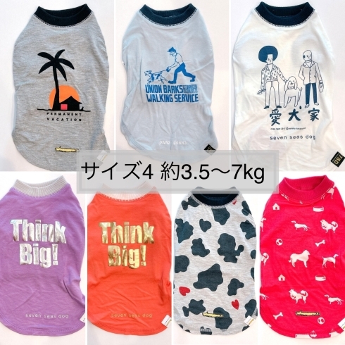 サイズ４「愛犬には着心地の良いTシャツが必要です。」