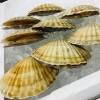 「魚魚市場鮮魚コーナーおすすめは「チカメキントキ」「生わかめ」です♪」