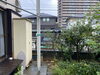ウメ伐採後「庭木の剪定•伐採•草刈（相模原）施工事例」
