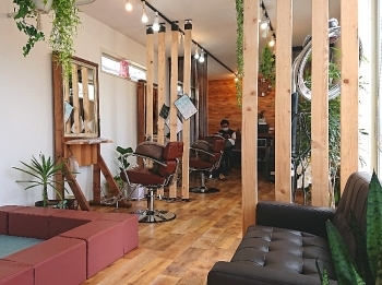 光がたっぷり差し込む明るい店内で、植物や木の温もりがいっぱい「hair salon nikori」