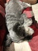 眠い…。「送別会、食事会は、あがわで…」