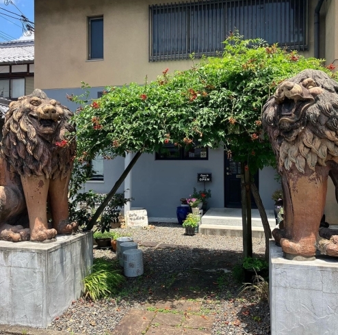 個性豊かなライオン⁈「信楽　cafe 」