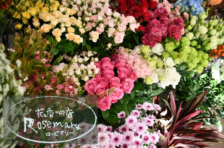 「花と香りの店 Rosemary（ローズマリー）」花とハーブのやさしい香りに包まれて、楽しく豊かな生活を